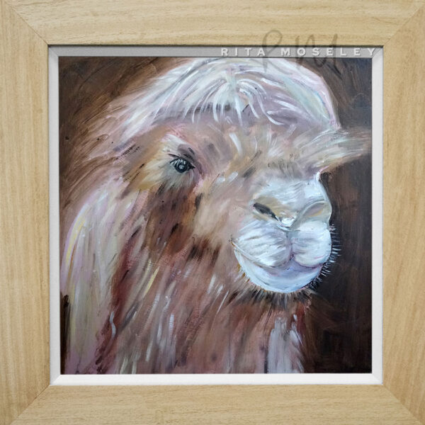 Framed Oil Painting by Rita Moseley - Mrs Camel