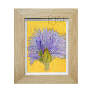 Framed Oil Painting by Rita Moseley - Agapanthus Sky Blue Flowers