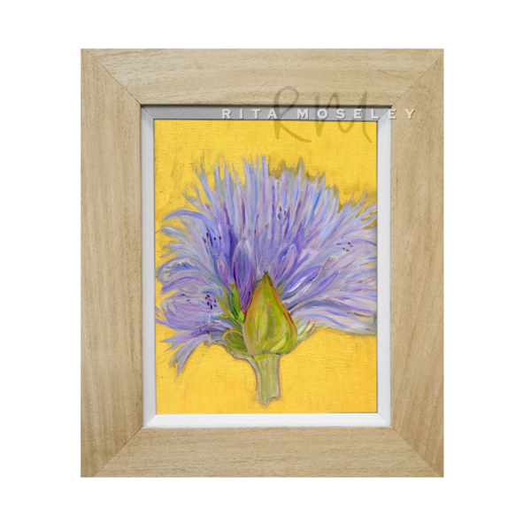 Framed Oil Painting by Rita Moseley - Agapanthus Sky Blue Flowers