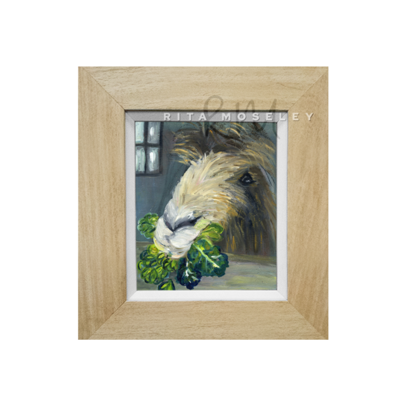 Framed Oil Painting by Rita Moseley - Baby Camel in Cornwall enjoying his sprouts