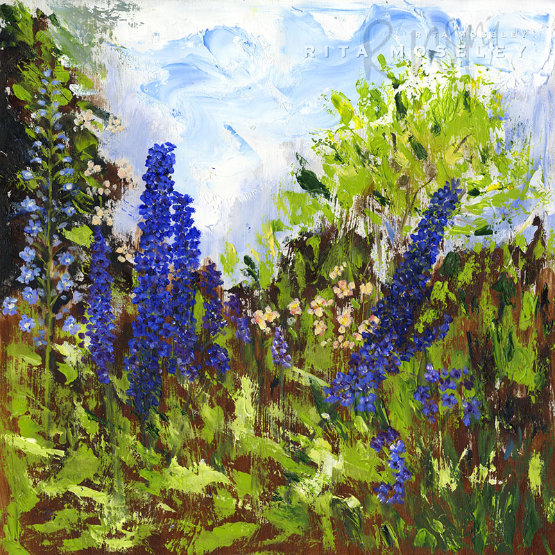 delphiniums-from-a-cotswold-garden-ritamoseley-w