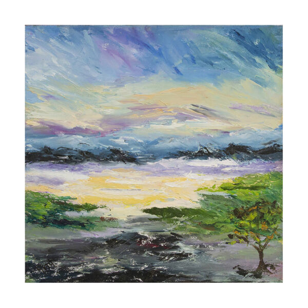 rita-landscape32-gleaming-light-dartmoor-232-900px