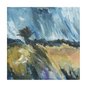 rita-landscape9-rainy-day-in-late-summer-cotswolds-064-900px