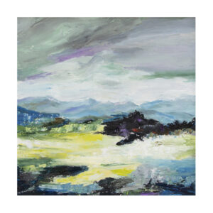 rita-seascape20-Rain-Coming-Cairngorms-145-900px