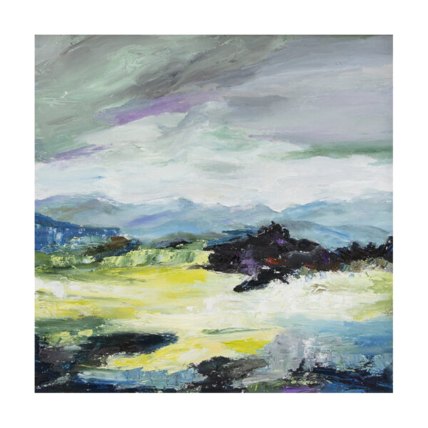 rita-seascape20-Rain-Coming-Cairngorms-145-900px