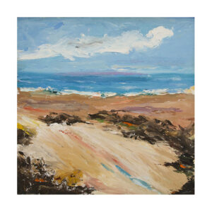 rita-seascape31-sand-dunes-connemara-224-900px